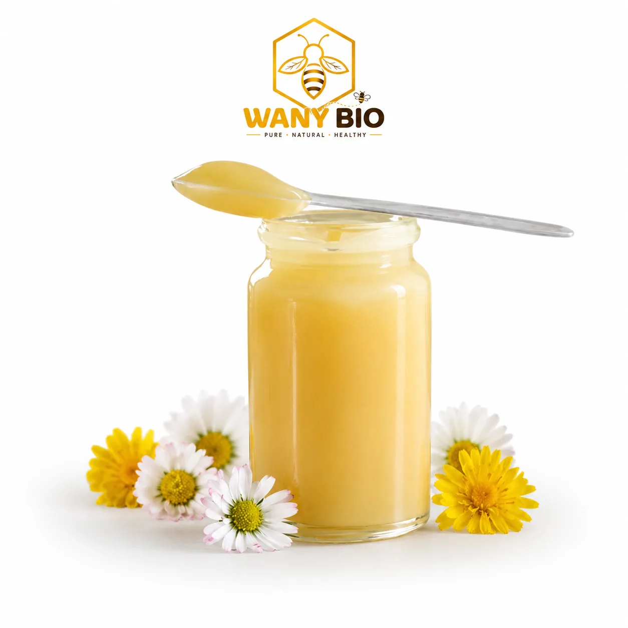 la gelée royale - غداء ملكة النحل - Miel naturel - Wany Bio